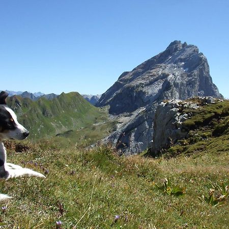 Sonnenhaus Sander Schruns Eksteriør bilde